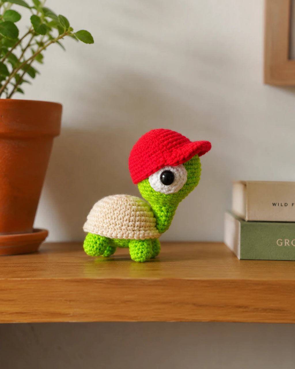 Skateboard Turtle Crochet Pattern