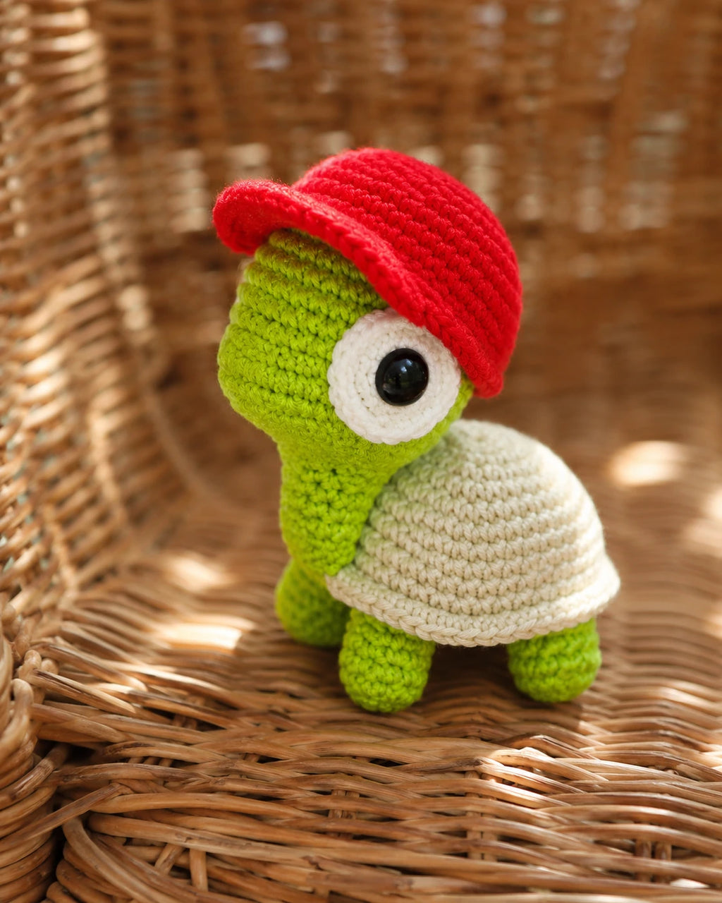 Skateboard Turtle Crochet Pattern