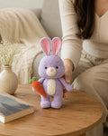 Bunny & Carrot Crochet Pattern